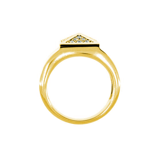 18k Yellow Gold Diamond Ring St Marks for Men - Mander Jewelry